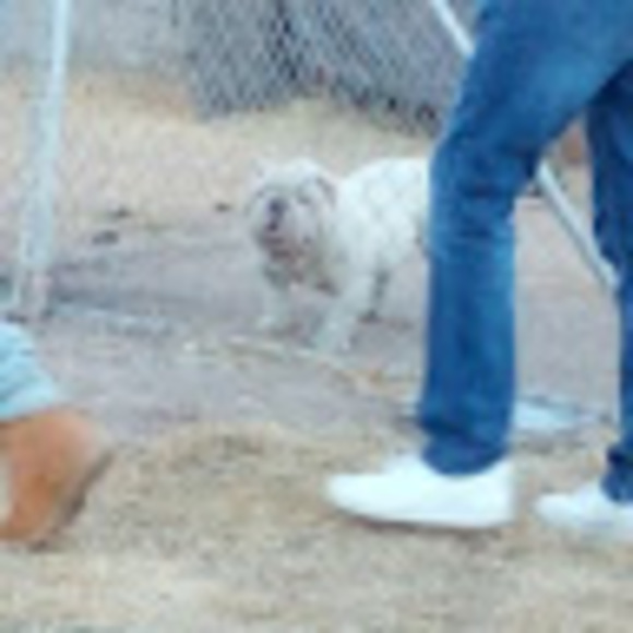 Meet your Posher, Tati - Picture 1 of 1